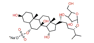 Oreasteroside I